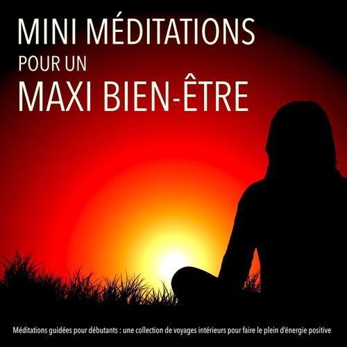 Couverture audiobook de MINI méditations pour un MAXI bien-être, de Patrick Lynen