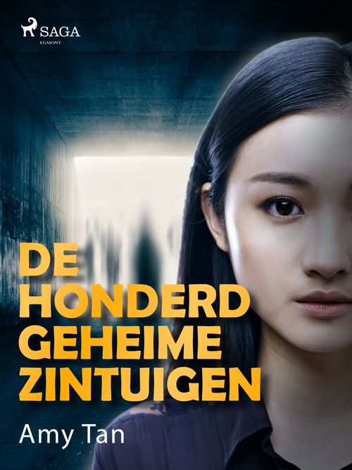 ebook cover of De honderd geheime zintuigen, by Amy Tan