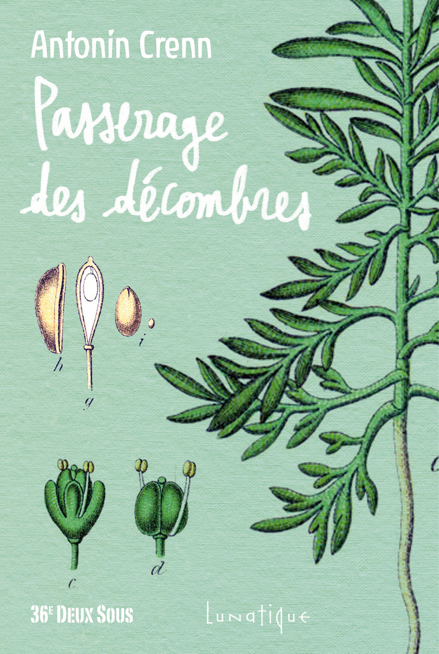 ebook cover of Passerage des décombres, by Antonin Crenn