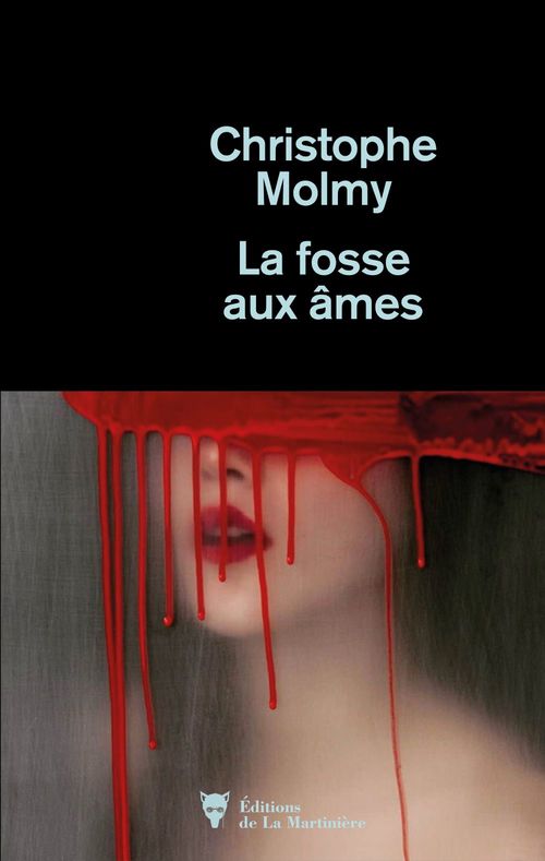 ebook cover of La Fosse aux âmes, by Christophe Molmy