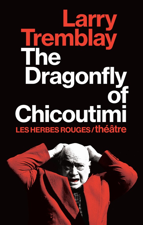 ebook cover of The Dragonfly of Chicoutimi, by Tremblay Larry