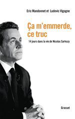 Couverture ebook de Ca m'emmerde, ce truc, de Eric Mandonnet, Ludovic Vigogne