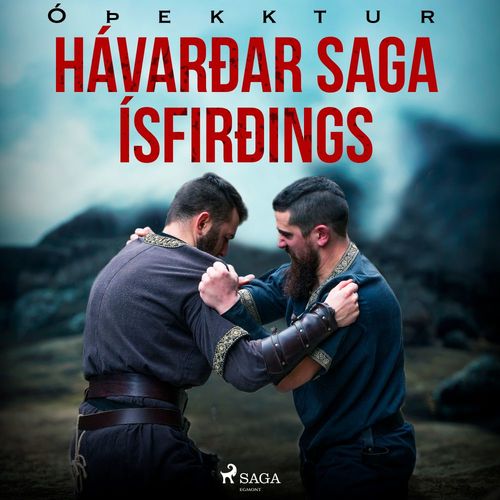 audiobook cover of Hávarðar saga Ísfirðings , by -  OþEkktur