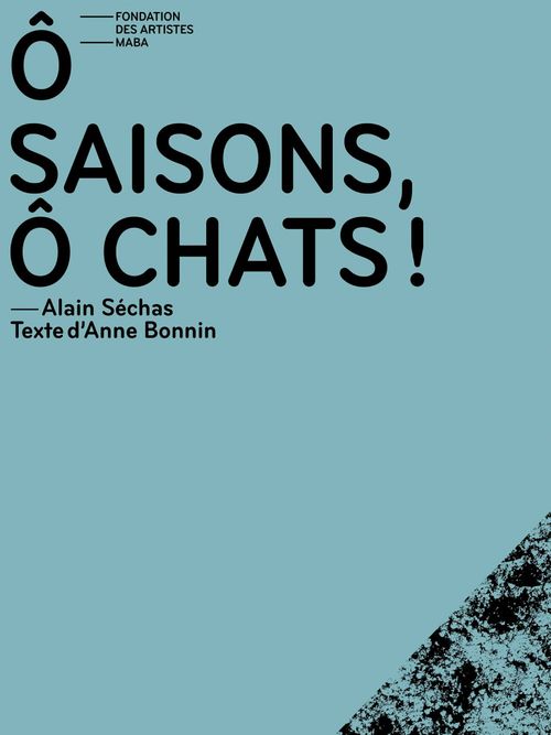 ebook cover of Ô saisons, ô chats !, by Alain Sechas, Anne Bonnin