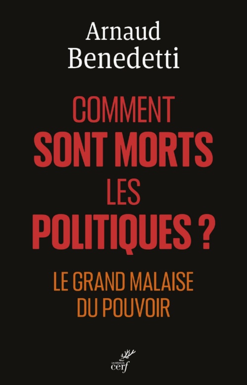 ebook cover of COMMENT SONT MORTS LES POLITIQUES ? - LE GRAND MALAISE DU POUVOIR, by BENEDETTI ARNAUD