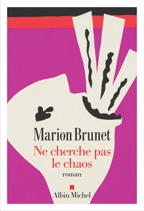 Couverture ebook de Ne cherche pas le chaos, de Marion Brunet