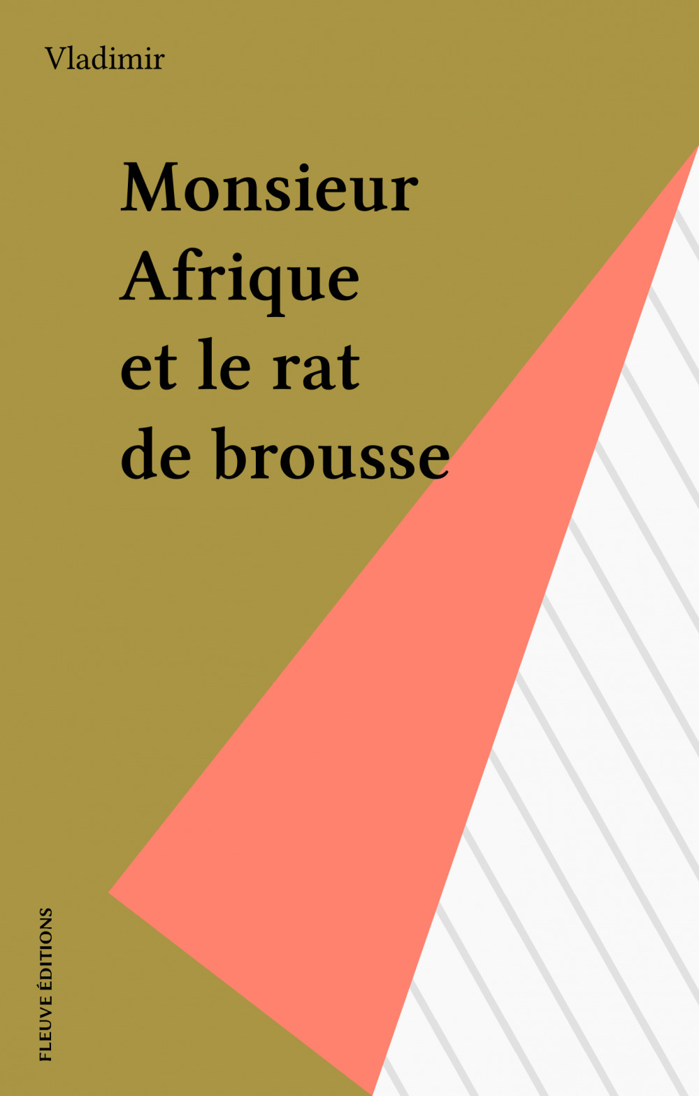 Couverture ebook de Monsieur Afrique et le rat de brousse, de Vladimir