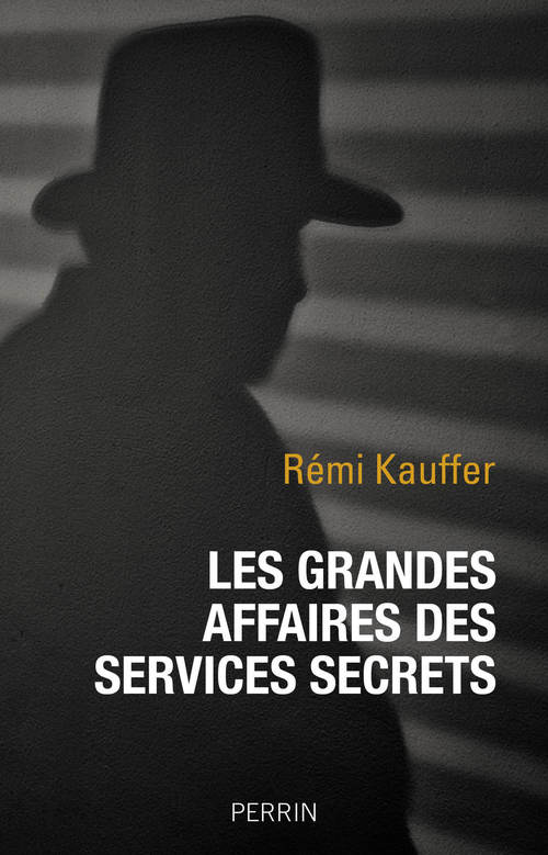 ebook cover of Les grandes affaires, by Rémi Kauffer