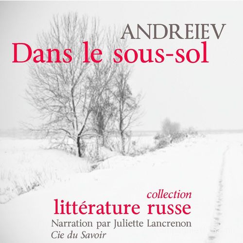 audiobook cover of Dans le sous-sol, by Leonid Andreïev