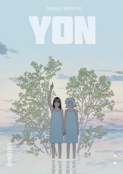 ebook cover of YON - Tome 4, by Camille Broutin
