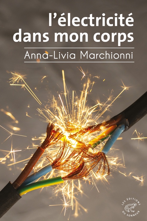 Couverture ebook de L'Electricité dans mon corps, de Anna-Livia Marchionni