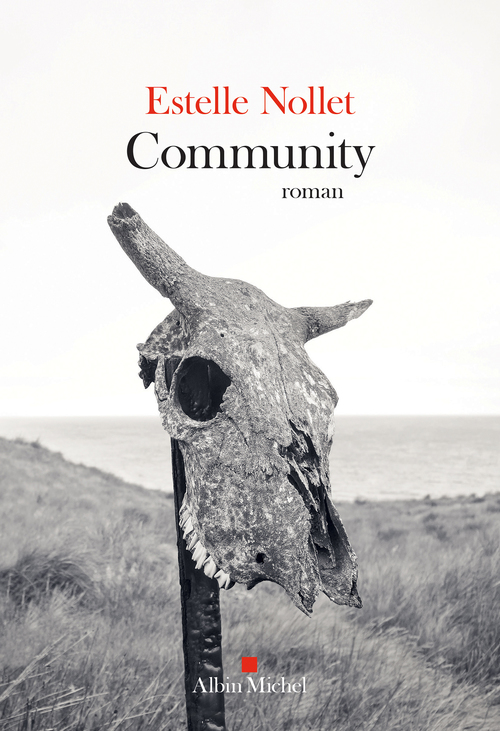 ebook cover of Community, by Estelle Nollet