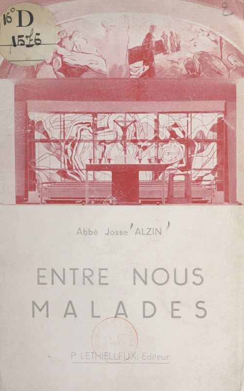 ebook cover of Entre nous, malades, by Josse Alzin