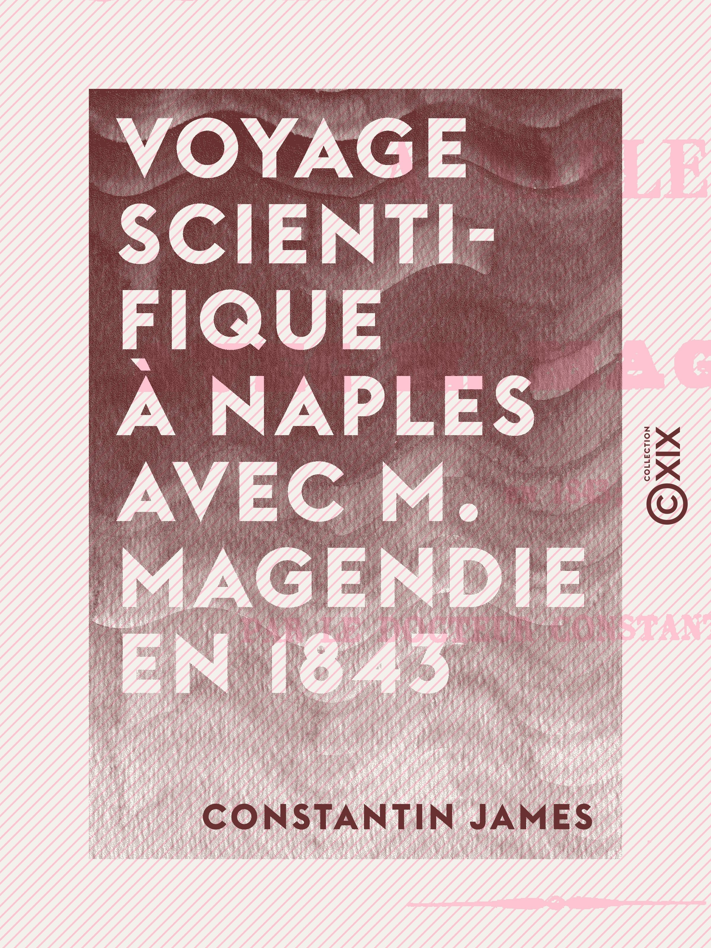 ebook cover of Voyage scientifique à Naples avec M. Magendie en 1843, by Constantin James