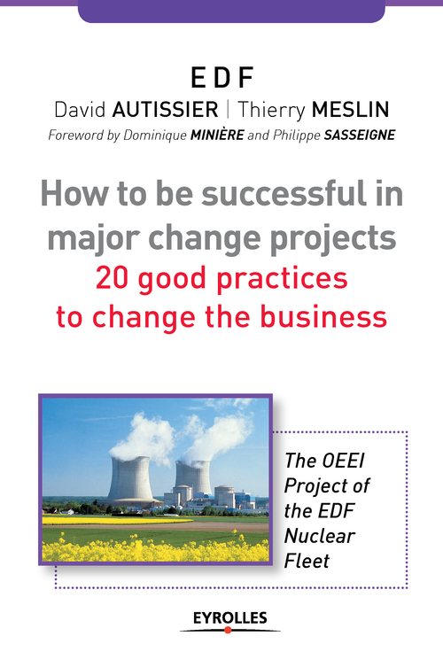 ebook cover of How to be successful in a major change projects, by David Autissier, Thierry Meslin