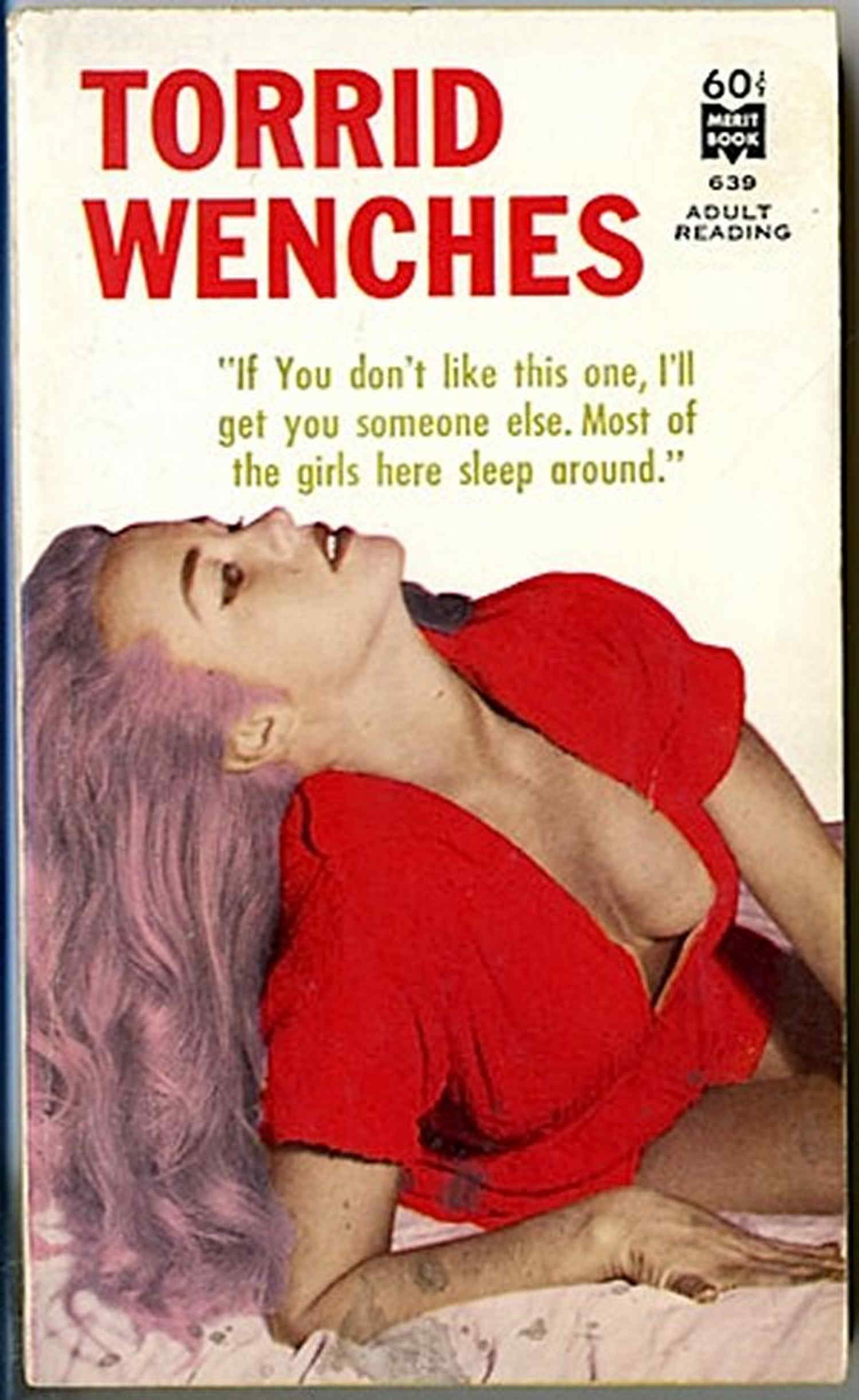 Couverture ebook de Torrid Wenches, de Gabriel Kellgren