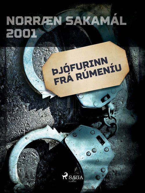 ebook cover of Þjófurinn frá Rúmeníu , by Ymsir Hofundar