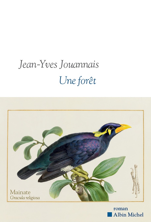 Couverture ebook de Une forêt, de Jean-Yves Jouannais
