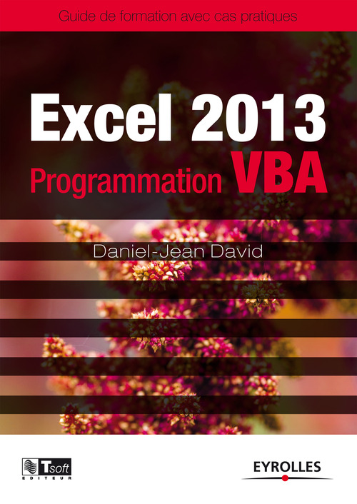 ebook cover of Excel 2013 - Programmation VBA, by Daniel-jean David