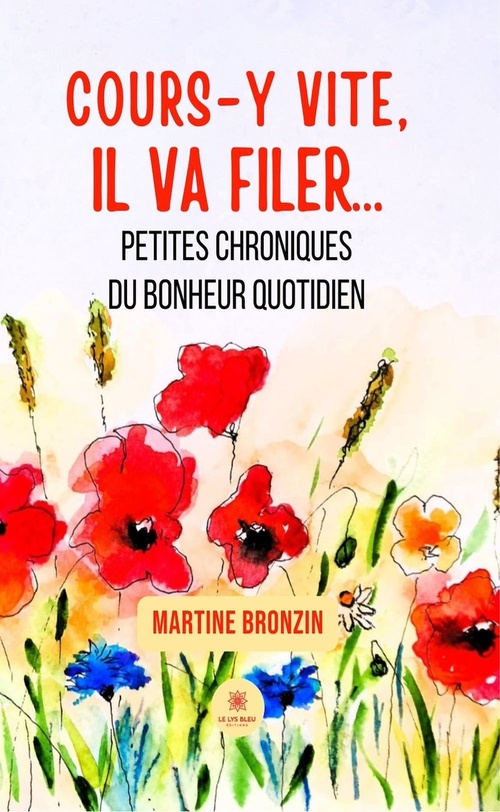 Couverture ebook de Cours-y vite, il va filer..., de Martine Bronzin