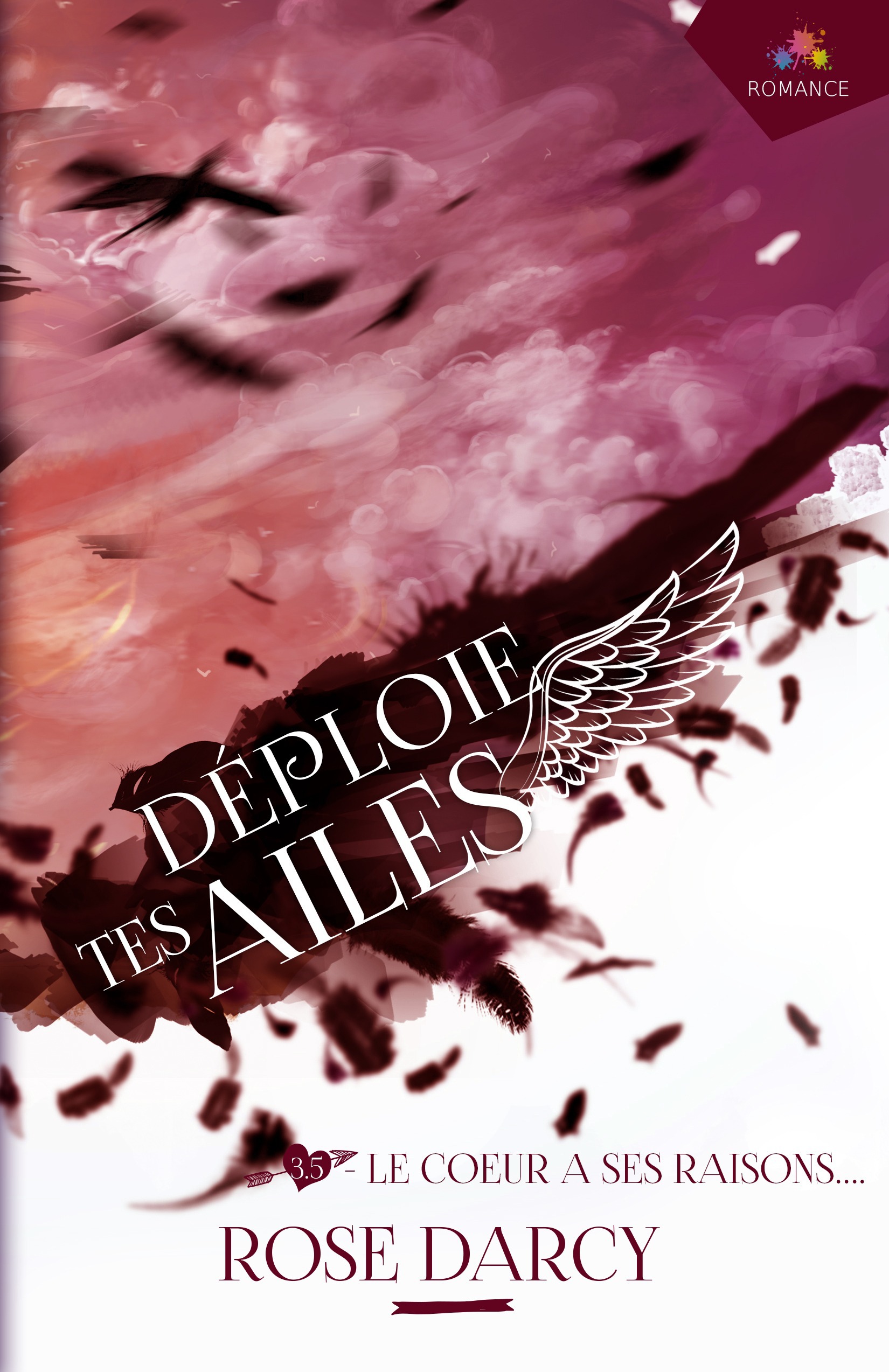 Couverture ebook de Le coeur a ses raisons, de Rose Darcy
