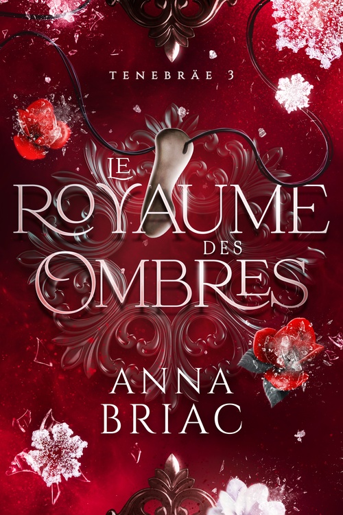 ebook cover of Le royaume des ombres, by Anna Briac