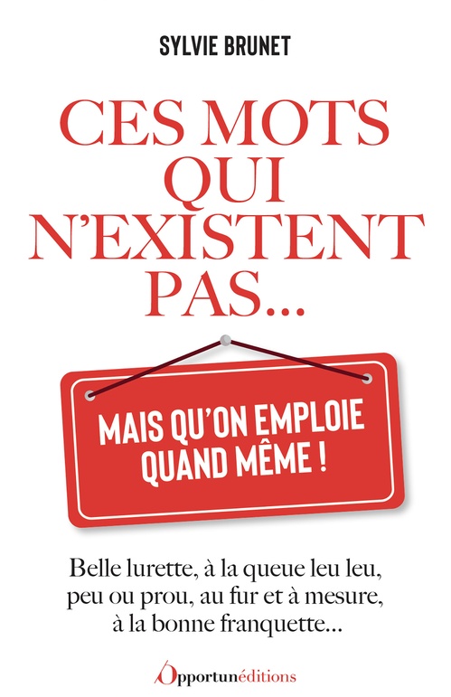 Couverture ebook de Ces mots qui n'existent pas... mais qu'on emploie quand même !, de Sylvie Brunet