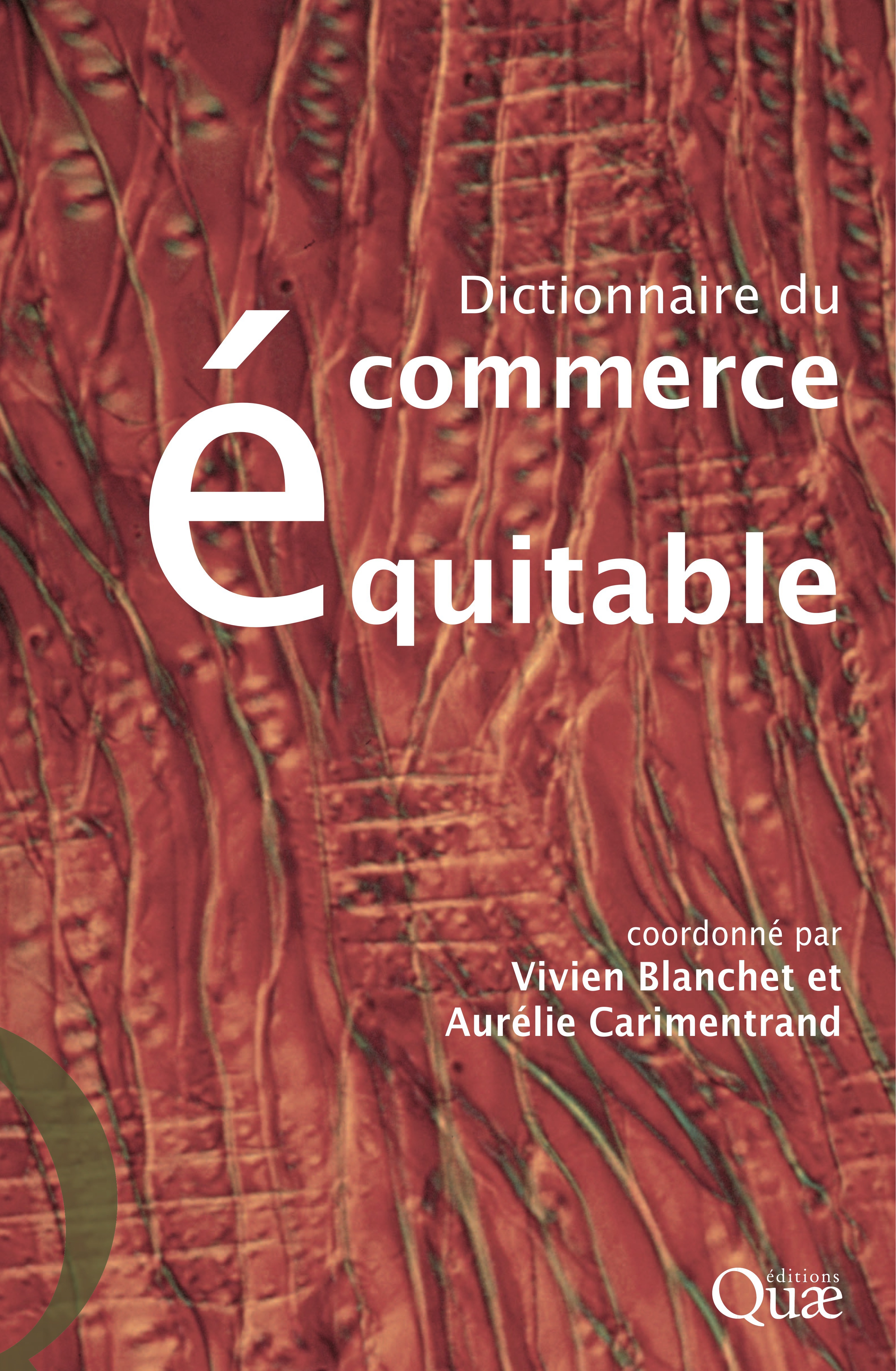 ebook cover of Dictionnaire du commerce équitable, by Vivien Blanchet, Aurélie Carimentrand