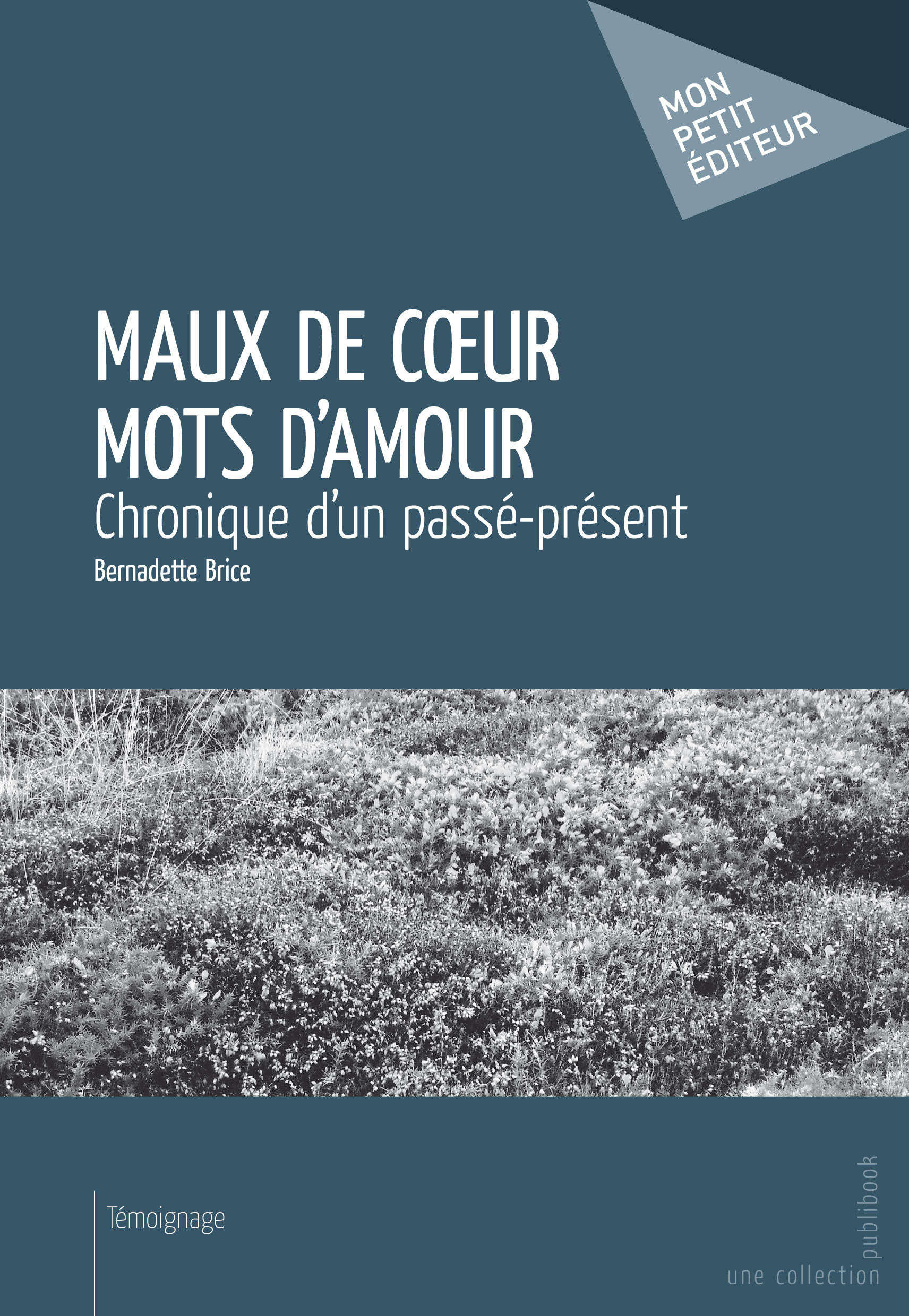 ebook cover of Maux de coeur mots d'amour, by Bernadette Brice
