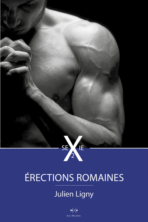 ebook cover of Erections romaines 2, by Julien Ligny