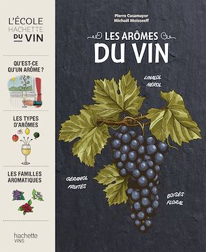ebook cover of Les arômes du vin, by Michaël Moisseeff