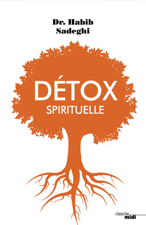 ebook cover of Detox spirituelle, by Habib Sadeghi
