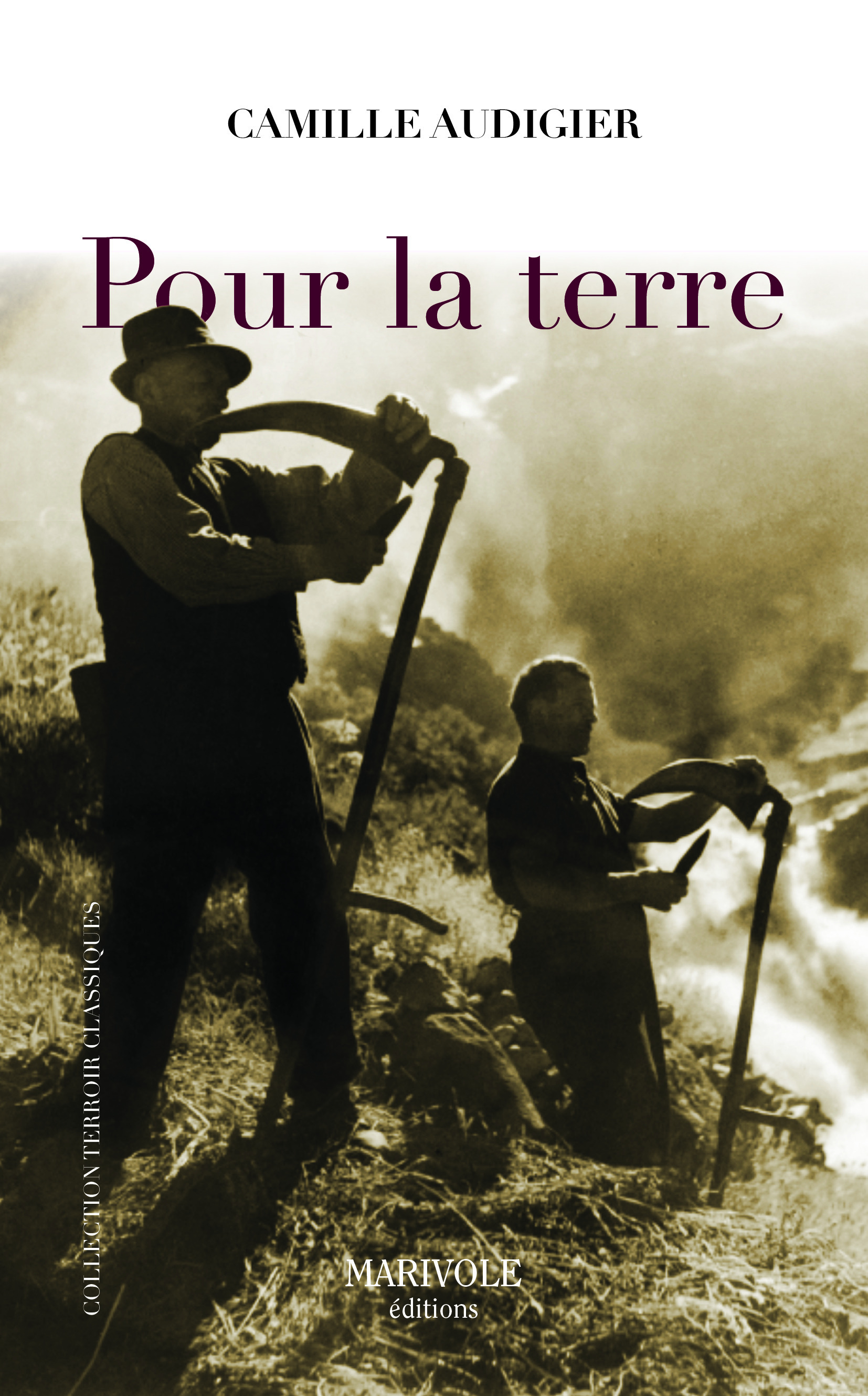 ebook cover of Pour la Terre, by Camille Audigier