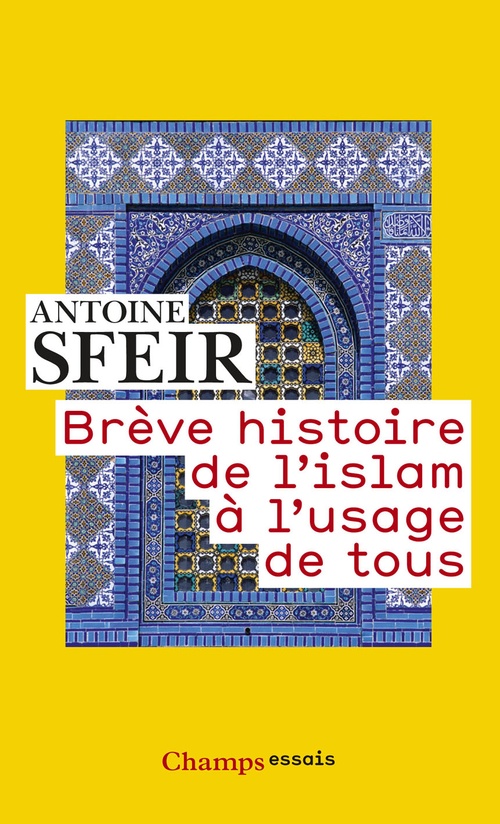 Couverture ebook de Brève histoire de l'islam à l'usage de tous, de Antoine Sfeir