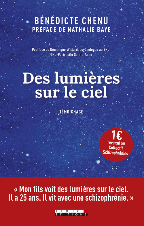 Couverture ebook de Des lumières sur le ciel, de Bénédicte Chenu