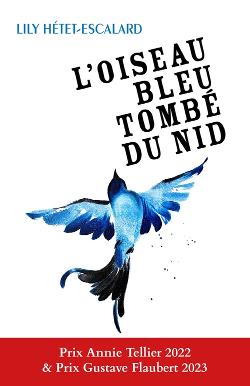 ebook cover of L'Oiseau bleu tombé du nid, by Lily Hétet-escalard