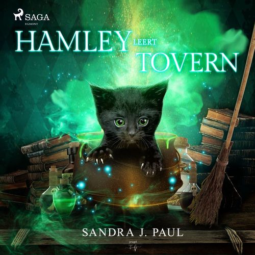 audiobook cover of Hamley leert toveren, by Sandra J. Paul