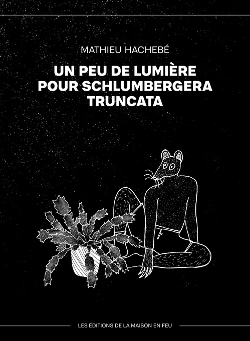 ebook cover of Un peu de lumière pour schlumbergera truncata, by Mathieu Harnois-Blouin