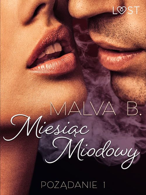 ebook cover of Pozadanie 1: Miesiac miodowy - opowiadanie erotyczne, by Malva B