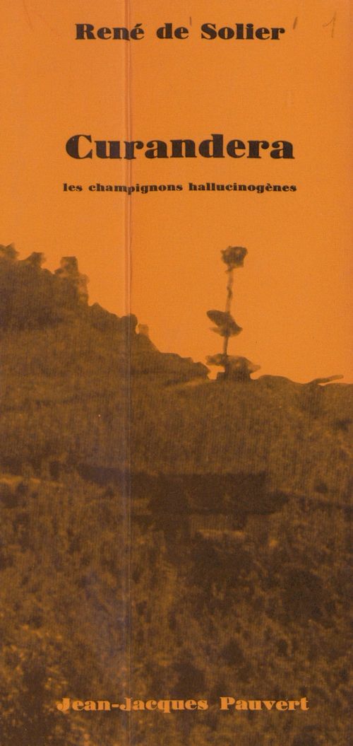 ebook cover of Curandera, by Rene De Solier