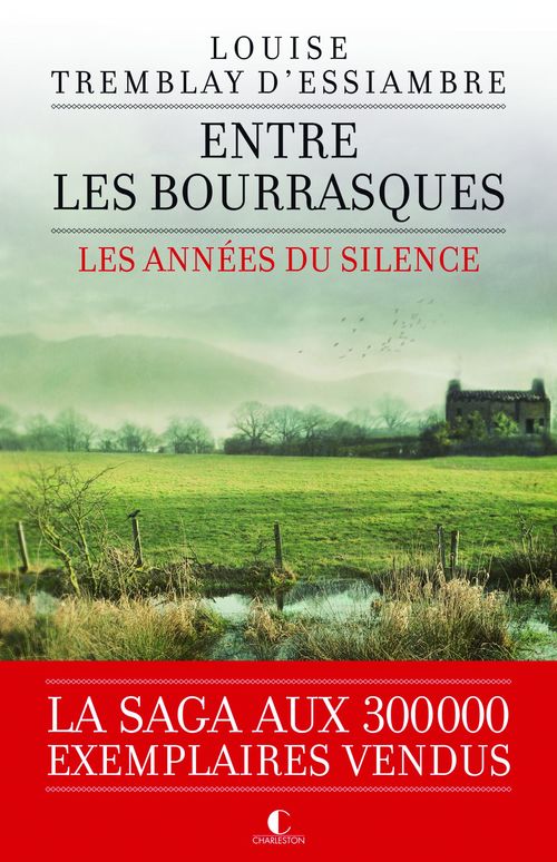 Couverture ebook de Entre les bourrasques, de Louise Tremblay d'Essiambre