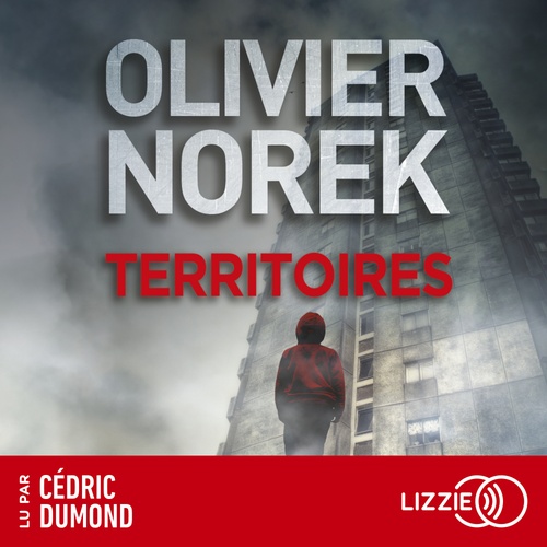 audiobook cover of Territoires, by Olivier Norek