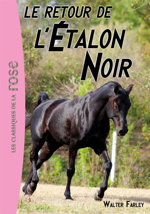 ebook cover of L'étalon Noir 02 - Le retour de l'Étalon Noir, by Walter Farley