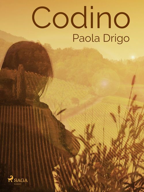 Couverture ebook de Codino, de Paola Drigo
