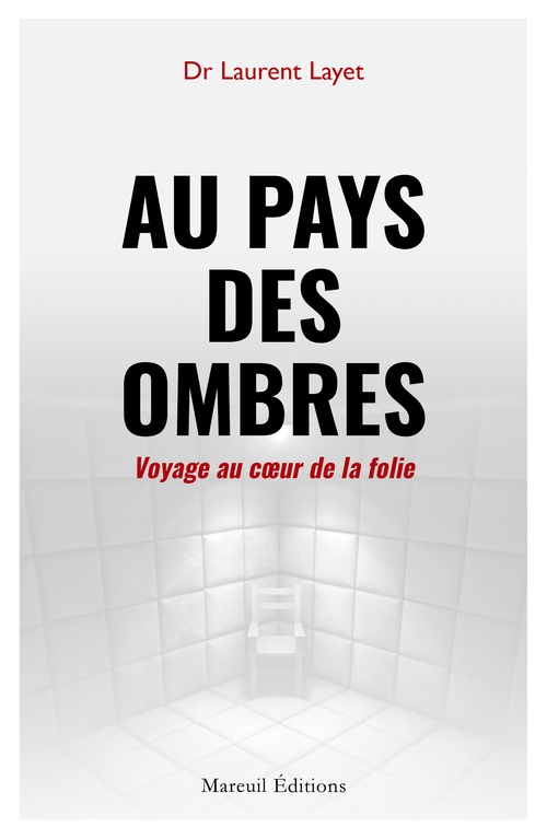 ebook cover of Au pays des ombres, by Laurent Layet