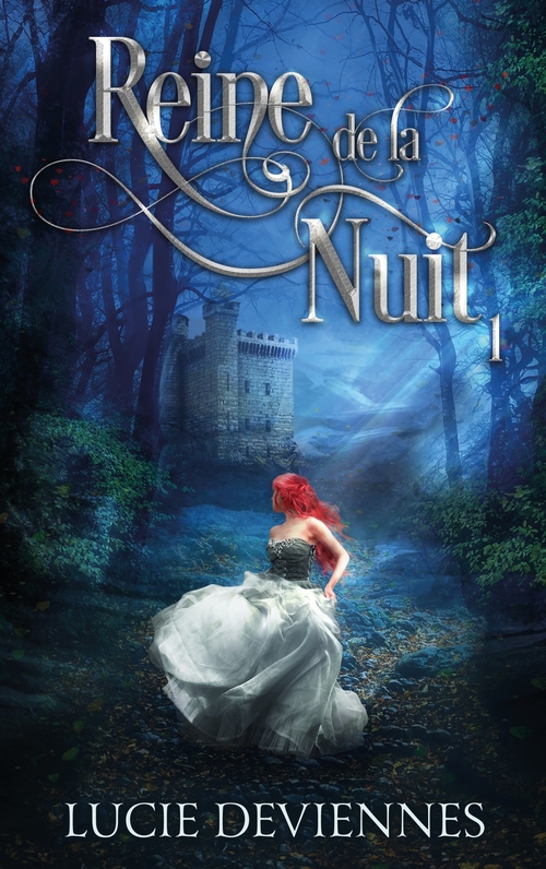 ebook cover of Reine de la nuit - tome 1, by Lucie Deviennes