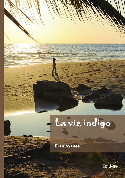 Couverture ebook de La vie indigo, de Fran Ayanes