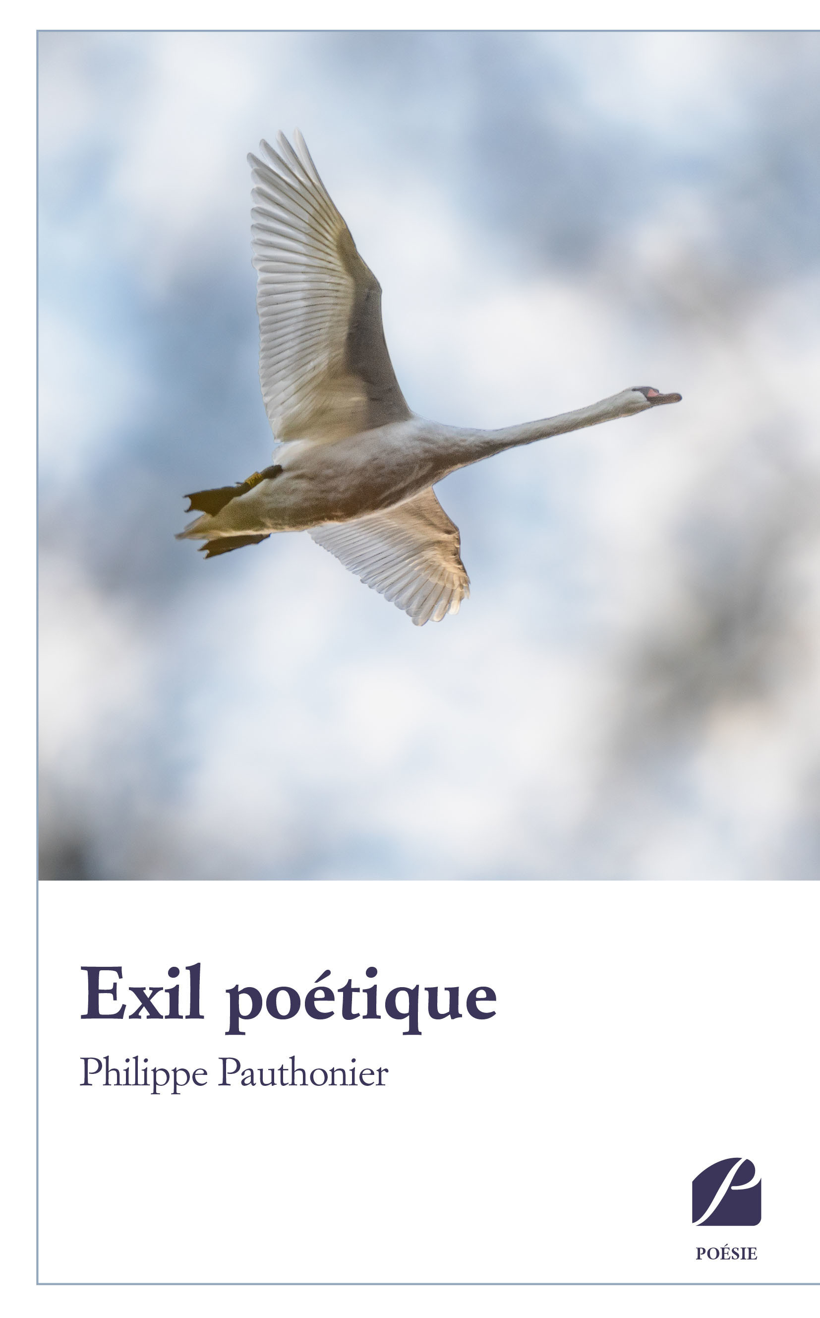 ebook cover of Exil poétique, by Philippe Pauthonier