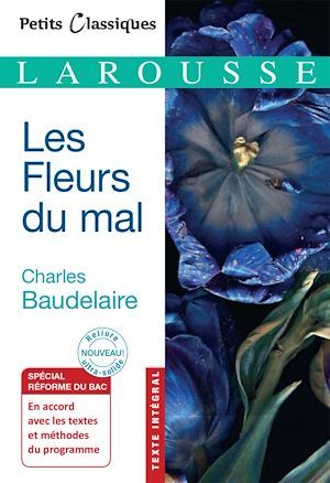 ebook cover of Les Fleurs du Mal, by Charles Baudelaire