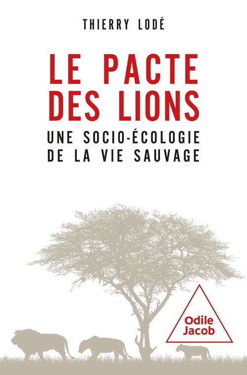 ebook cover of Le Pacte des lions, by Thierry Lodé